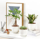 Sureasy Ceramic Indoor Plant Pots - 5.6 Inch Flower Pots for Plants with Drainage Hole and Saucer, Embossed Planter for Succulents, Orchid, Cactus, Indoor Home Decor, Set of 4, White by GreenHaven Gardens
