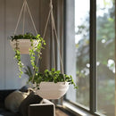 La Jolie Maison 10 Inch Hanging Planters for Indoor Plants, Outdoor Garden Planter Pots with Self-Watering Tray, Eggshell White, Set of 2 by GreenHaven Gardens