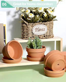 vensovo 3.7 Inch Terracotta Shallow Succulent Pots - 6 Pack Terra Cotta Clay Pot with Saucer, Cacuts Indoor and Outdoor Planters with Drainage Hole by GreenHaven Gardens