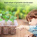 Bonviee 5-Pack Seed Starter Trays, Seed Starter Kit with Adjustable Humidity Dome and Base Indoor Greenhouse Mini Propagator for Seeds Growing Starting (12 Cells Per Tray, Green) by GreenHaven Gardens