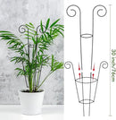 ZOUTOG Trellis for Climbing Plants Indoor 30 Inch, Houseplant Trellis for Potted Plants Metal 4Pcs for Vine Ivy Flower Support,Round Shape,Black by GreenHaven Gardens
