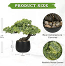 Artificial Bonsai Tree Juniper Faux Plants Indoor Fake Plants Decor with Black Ceramic Pots for Home Table Office Desk Bathroom Shelf Bedroom Living Room Farmhouse Decorations by GreenHaven Gardens