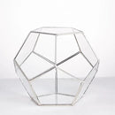NCYP Small Silver Glass Geometric Terrarium for Succulents Air Plants, 6.89 x 6.89 x 5.9 Inches, Indoor Home Garden Planter Pot, Tabletop Decor Centerpiece, Handmade (Only Terrarium) by GreenHaven Gardens