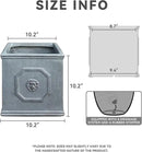 Kante Square Lion Head Concrete Planter, Classic English Style Plant Pot with Drainage Hole and Rubber Plug for Indoor Outdoor Garden Patio Home, 10.2"x10.2"x 10.2" Antique Gray by GreenHaven Gardens