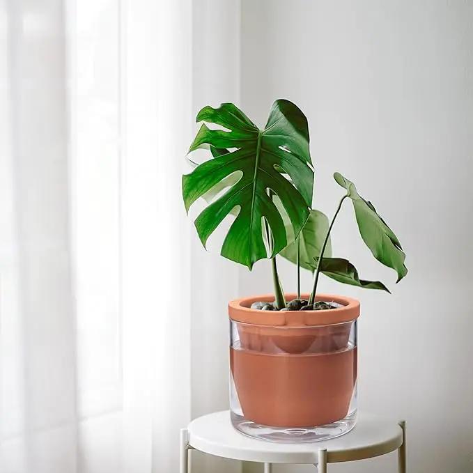 D'vine Dev 8 Inch Design Self Watering Pot for Indoor Plants, Terracotta Planter with Cylinder Glass Cup, 37-X-C-1, photo 6 of 6