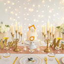 Sziqiqi Candelabra Candle Holder Gold Set of 2-5-stem Metal Candlestick Holders for Taper Candles for Centerpieces Table Wedding Birthday Fireplace Christmas Decor by CozyNest Decor