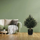 19” Artificial Cedar Outdoor Artificial Shrub Sunlight Resistant Leafy Potted Plant for Indoor Porch of Home and Office Artificial Outdoor Tree Topiary Trees by GreenHaven Gardens