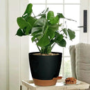 '- Uneed Plastic Flower Pot,5-Pack Plant Pots with Drainage 7/6.5/6/5.5/5 Inch,Self Watering Pots for Indoor Plants,Planters for Indoor Outdoor Plants (Black) by CozyNest Decor