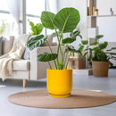 12 Inch Pots for Plants - Ceramic Planter for Outdoor Plants Large Plant Pot Indoor with Drainage Hole Modern Flower Pot for Home Patio Office Decor Yellow by GreenHaven Gardens