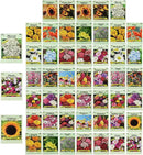 Set of 50 Assorted Flower Seed Packets! Flower Seeds in Bulk - 10+ Varieties Available! by GreenHaven Gardens