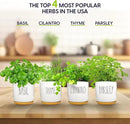 Deluxe Ceramic Indoor Herb Kit 4 Set. Variety Herbs for Indoor & Outdoor – Get Growing with Pots, Potting Soil for Window Herb Garden. (Ceramic Edition) by GreenHaven Gardens