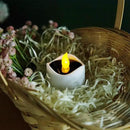 Solar Candle Lights,Flameless Candle Lights,Solar Rechargeable Tea Wax lamp,6 flameless Candle Light, Suitable for Wedding, Valentine's Day, Halloween, Christmas (Solar Candle Light) by GreenHaven Gardens