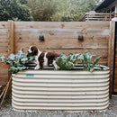 Vego garden 32" Extra Tall Raised Garden Bed Kits, 6 in 1 Modular Raised Planter Box for Vegetables Flowers Fruits Oval Metal Raised Garden Bed- Pearl White by CozyNest Decor