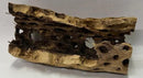 Natural Cholla Wood Chunk Air Plant Display Holders Individually Unique Decorative Stands Holder (Cholla Chunk) by GreenHaven Gardens