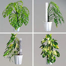 Plastic Moss Pole 4 Pcs Plant Stakes Extending to 62 Inch for Training Indoor Climbing Plants Such as Monstera to Grow Upwards-Use Plant Support Poles Work with Sphagnum Moss or Other soils by GreenHaven Gardens