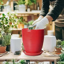 Ceramic Pot for Plants - 8 Inch Plant Pot for Indoor Plants Outdoor Round Planter Modern Flower Pot with Drainage Hole and Saucer Home Garden Office Porch Decor Red by GreenHaven Gardens