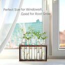 XXXFLOWER Wall Hanging Terrarium Planter with 5 Test Tubes,Wall Planters for Indoor Plants,Plant Lover Gifts for Women Garden Office Decoration by CozyNest Decor