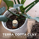 Plant Self Watering Globes - Terracotta Watering Spikes - Slow Release Olla Watering Pots - Drip Irrigiation Olla System by GreenHaven Gardens