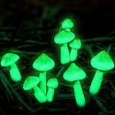 Taiyin 20 Pcs Luminous Mushroom Miniature Garden Mushrooms Outdoor Decor Waterproof Glow in The Dark Yard Decor for Fairy Outdoor Garden Micro Landscape Christmas Tree Decor by GreenHaven Gardens
