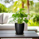 Ceramic Plant Pot - 8 Inch Ceramic Planter for Indoor Plants Glazed Round Flower Pot with Drainage Hole and Saucer Black by GreenHaven Gardens