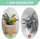 Glass Plant Watering Globes, Flower Watering Globes Self Watering Star Plant Watering Pot, Automatic Multicolored Glass Watering Spray for Everyday Use,3 Pack (A) by GreenHaven Gardens
