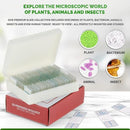 AmScope 25pc Prepared Glass Microscope Slides in Plastic Case with Plant, Fungus, Insect and Mammal Specimens by TinyTreasures Baby Boutique