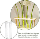 Alipis 4pcs Glass Propagation Stations Accessories Glass Test Tubes Tiered Planters Wall Terrarium for Home Office Plant Hanger Flower Vases Wall Decor Hydroponic Cuttings by GreenHaven Gardens