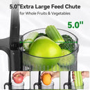 Juicer Machines, Cold Press Juicer with 5.0” Large Feed Chute Fit Whole Fruits & Vegetables, Stainless Steel Masticating Juicer With Pulp Seperation, 99% Juice Purity, 200W Quiet Motor, Easy to Clean by CozyNest Decor