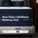 Bedstory Spine Align Pro 14" Twin Firm Pressure Relieving Cooling Hybrid Mattress by HouseOfZazla
