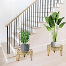 2 Pack Plant Stand, Anti-Rust Planter Stands for Indoor Plants, Metal Plant Stands Outdoor, Round Flower Pot Stands for Multiple Plants, Display Shelves Potted Plant Holders for Garden Patio by GreenHaven Gardens