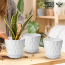 6 inch Plant Pots, 5 Pack Flower Pots Outdoor Indoor, Planters with Drainage Hole and Tray Saucer. by GreenHaven Gardens