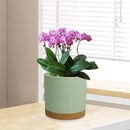 5 Pack Cylindrical Flower Pots with 7/6.5/6/5/4 inch, Modern Small Plastic Plant Pots with Drainage Holes & Saucers, Round Planter Pots for Outdoor, Indoor & Office Decor (Green Brown) by GreenHaven Gardens