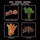 LOVSPA Reed Diffuser Set, Cinnamon Pine Cones Scented Oil Diffuser with Sticks, Home Fragrance Accessories for Bathroom Shelf Decor, Aroma Diffusers for Home or Office Desk, USA Made by CozyNest Decor
