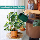 Watering Can Indoor Plants, 35oz Small Watering Can Indoor Stainless Steel Metal Watering Can Modern Decorative Watering Pot with Long Spout for Indoor House Plant Bonsai Garden Flowers (Alpinegreen) by GreenHaven Gardens