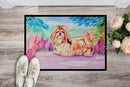 Shih Tzu Doormat Indoor Outdoor 24H X 36W Front Door Mat Rugs for Entryway, Non Slip Washable Low Pile,