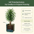 Vego garden Self Watering Pots Home Planters with Water Gauge for Effortless Indoor Plants Fog Gray by GreenHaven Gardens