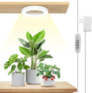 LORDEM 6.3” Ceiling Grow Light for Indoor Plants, 72 LEDs Full Spectrum Halo Plant Light, Under Cabinet Growing Lamp with 4/8/12H Auto Switch, 4 Dimmable Brightness Levels, Ideal for Pot Plants by GreenHaven Gardens