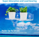 2-Pack Acrylic Window Plant Shelves with Suction Cups & Support Brackets - Semicircular Window Sill Extender for Herb Pots, Succulents, Flower Boxes, Micro Greens | Indoor/Outdoor Use by GreenHaven Gardens