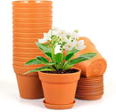 6 inch Small Plastic Nursery Pots, Seedling Pots, 16 Pack Plant Pots for Indoor Outdoor Plants, Flower Pots with Drainage Holes and Saucers, Decorative Planters for House Plants, Terracotta by GreenHaven Gardens