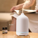 Diffuserlove Ceramic Diffuser 250ML Essential Oil Diffusers Aromatherapy Essential Oil Diffuser for Room Air Diffuser for Home Bedroom Stone Diffuser (White Big Size 250ml) by TinyTreasures Baby Boutique