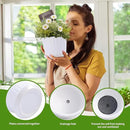 Plant Pots - 5.5 Inch Cylinder Ceramic Planters with Connected Saucer, Pots for Succuelnt and Little Snake Plants, Set of 4, White by GreenHaven Gardens