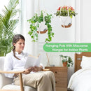 Hanging Planters for Indoor Outdoor Plants, 2 Pack Self Watering Hanging Pot with Drainage Holes, Removable Tray & 2 Kinds of Plant Hangers, 8'' Hanging Flower Pots for Home Garden Decor, White by CozyNest Decor