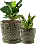 Plant Pots, Flower Pots, Planters for Indoor Plants(6.5+5.5inch), Flower Pots for Indoor Plants with Drainage Hole and Saucer, Ceramic Pots for Plants with Hole Mesh Pad,Reactive Glaze Green by GreenHaven Gardens