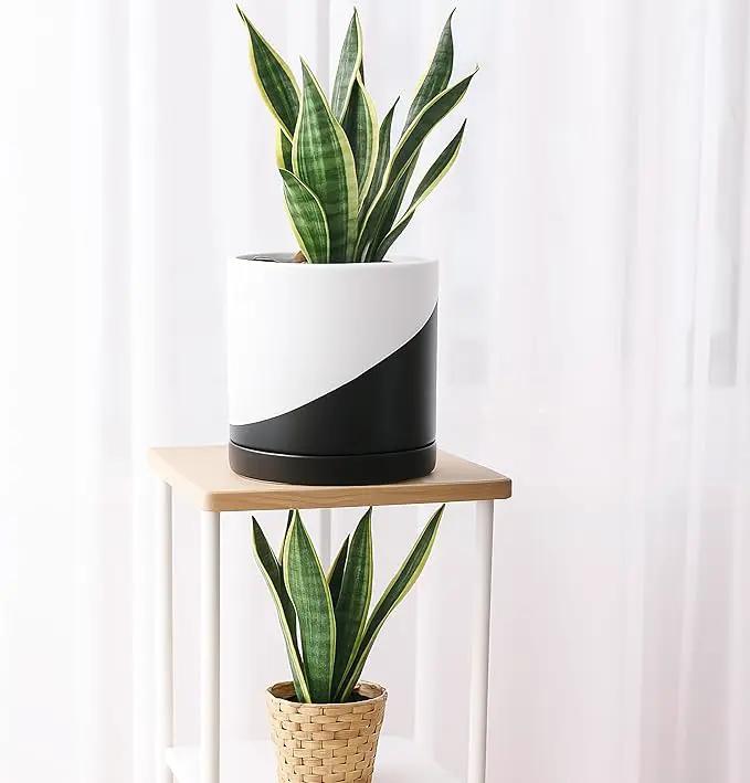 D'vine Dev 8.2 Inch Ceramic Planter Pot with Drainage Hole and Saucer, Indoor Cylinder Round Planter Pot, Oblique Monochrome Black and White, 94-O-D-K, photo 5 of 7