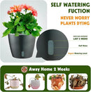 Self Watering Pots for Indoor Plants, 6-Pack 5'' Self Watering Planter with Drainage Holes, Small African Violet Pots with Water Indicator, Clear Wick Orchid Pot, Grey Gold by CozyNest Decor