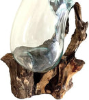Hand Blown Molten Glass & Teak Wood Terrarium/Vase/Fish Bowl - Premium Quality (12" - 14" High) by CozyNest Decor