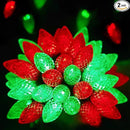 2-Pack C9 Christmas String Lights, 100LED 66FT Waterproof Connectable Green Wire, Plug in Led Outdoor/Indoor Fairy String Lights, for Xmas Tree Garden Patio Wedding Party Decorations (Red and Green) by GreenHaven Gardens