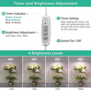 LORDEM Full Spectrum LED Grow Lights, Brightness Adjustable Plant Lamps with Auto On/Off Timer, Height Adjustable Growing Lights for Indoor Plants, Pack of 2 by GreenHaven Gardens
