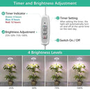 LORDEM Full Spectrum LED Grow Light, 72 LEDs, 4 Brightness Settings, Auto On/Off Timer, Height Adjustable, Ideal for Indoor Plants by GreenHaven Gardens