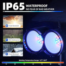 Barrina Solar Spot Lights Outdoor, 360° Horizontal Adjustable, 24 LEDs RGB Color Changing Solar Spotlight, IP65 Waterproof, Auto On/Off Solar Powered Landscape Lights for Outside Garden Yard, 2 Pack by GreenHaven Gardens